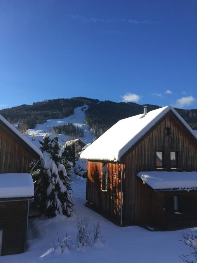 Alpenferienhaus Kreischberg Санкт-Лоренцен-об-Мурау Экстерьер фото