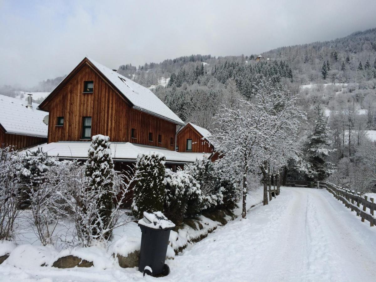 Alpenferienhaus Kreischberg Санкт-Лоренцен-об-Мурау Экстерьер фото