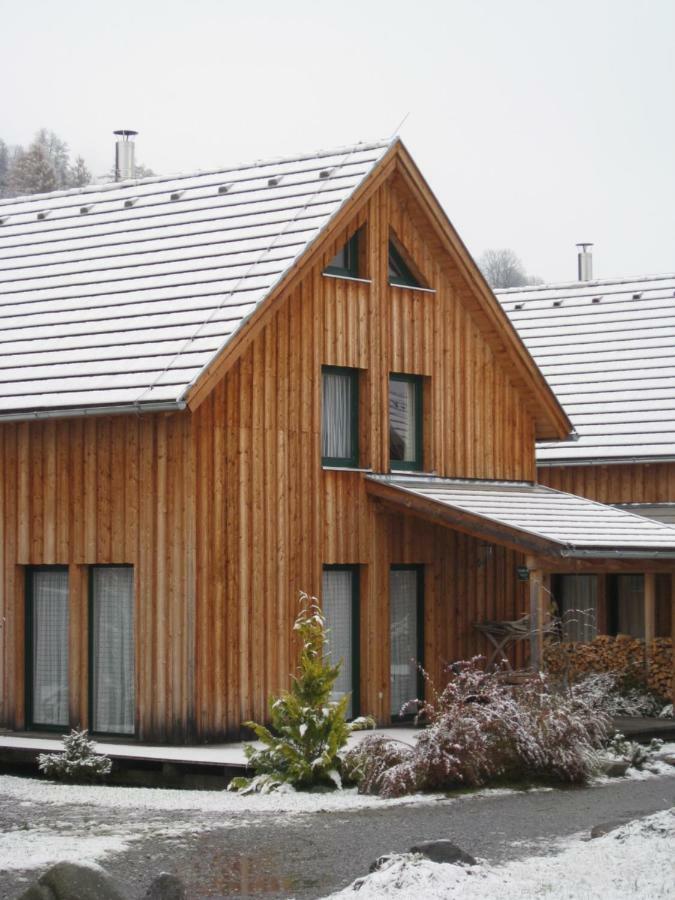 Alpenferienhaus Kreischberg Санкт-Лоренцен-об-Мурау Экстерьер фото